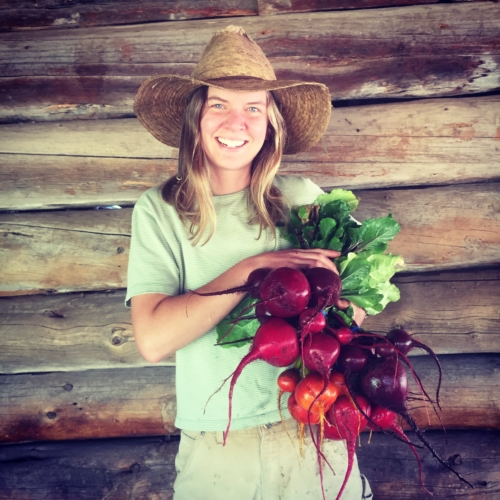 Detroit Dark Red Beets