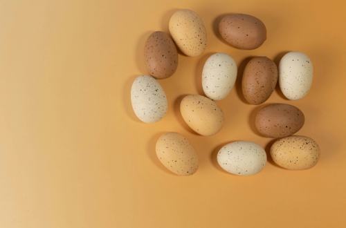 2025 CSA - Dooley Creek Eggs Full Season Add-On