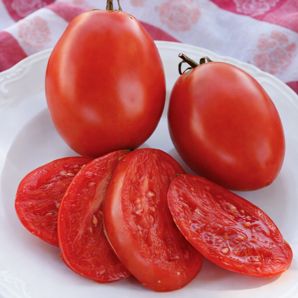 Amish Paste Tomato