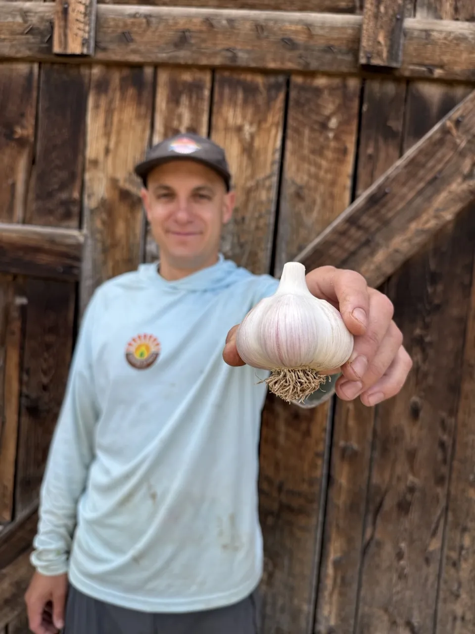 Music Garlic - Image 3