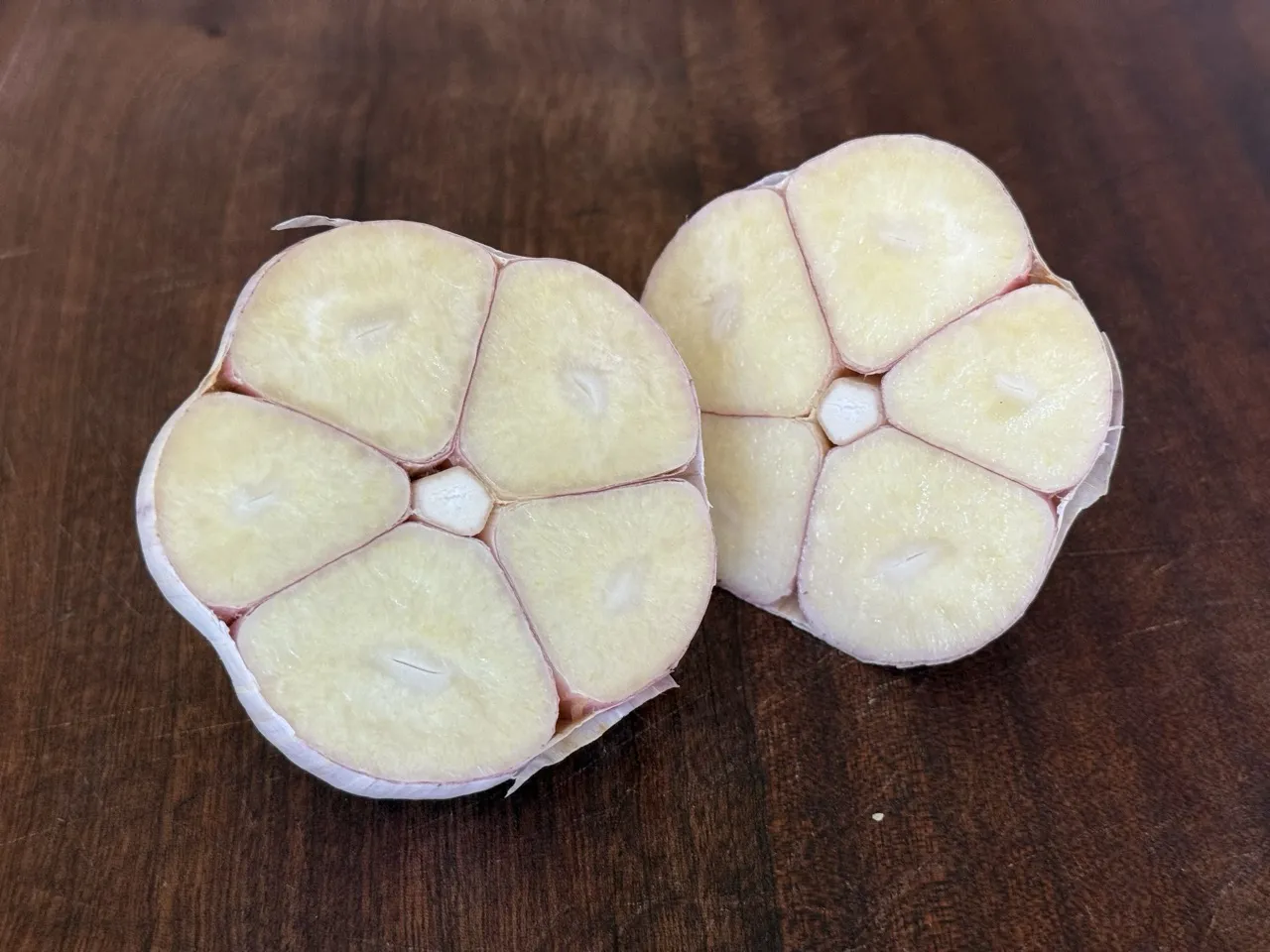 Music Garlic - Image 2