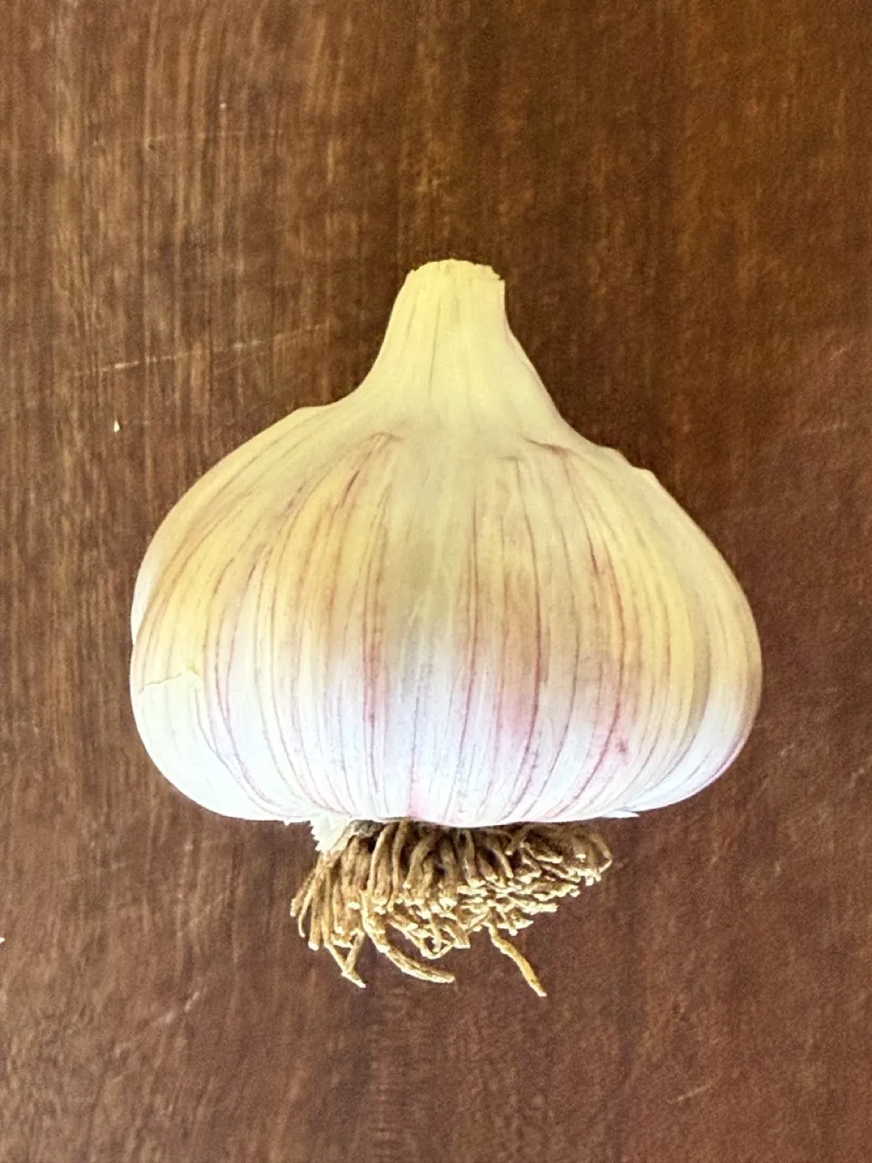 Persian Star Garlic