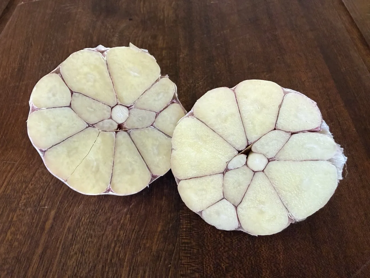 Persian Star Garlic - Image 2