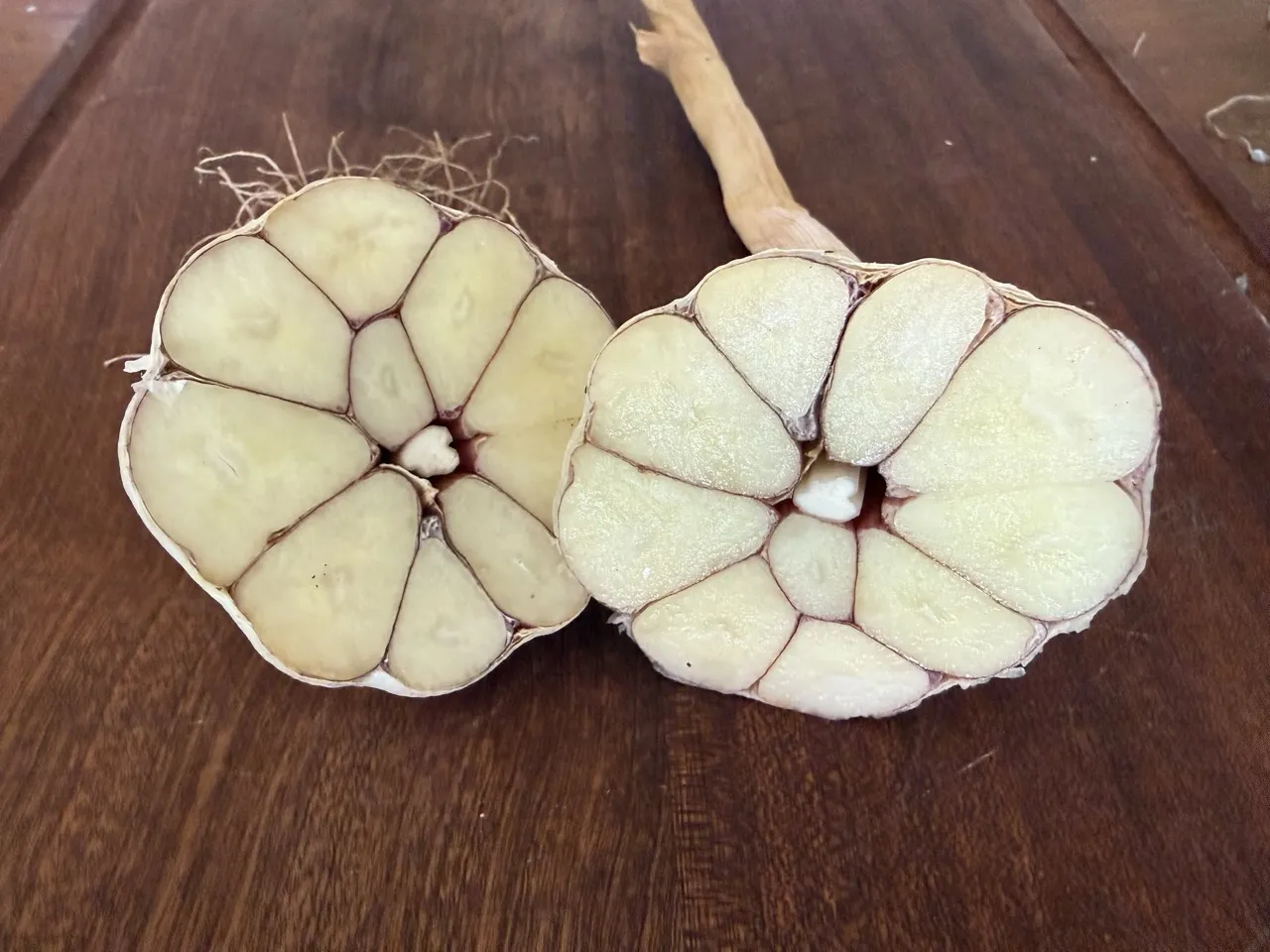 Russian Red Garlic - Image 2
