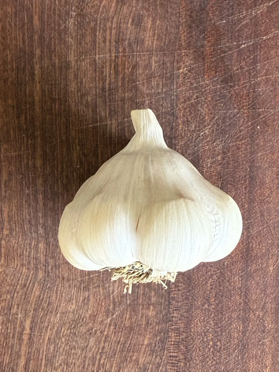 Italian Softneck Garlic